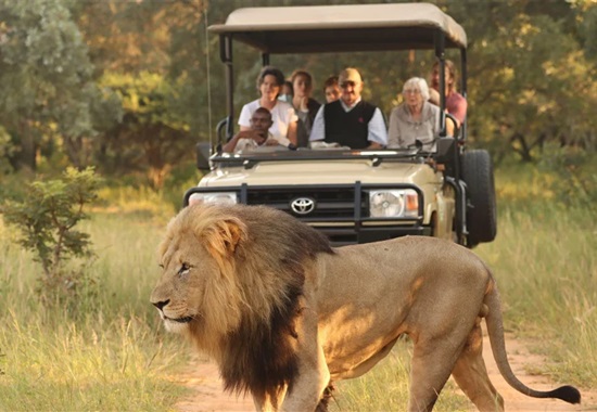 Safari v Jihoafrické republice - Jihoafrická republika